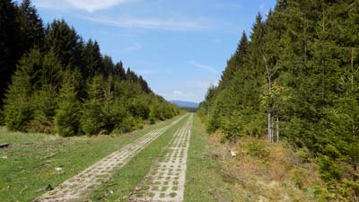 IMG_1037